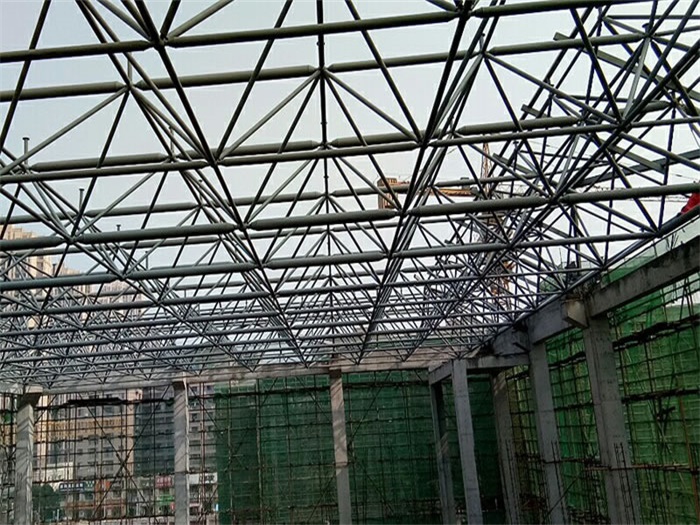 乐山光谷第十一小学网架